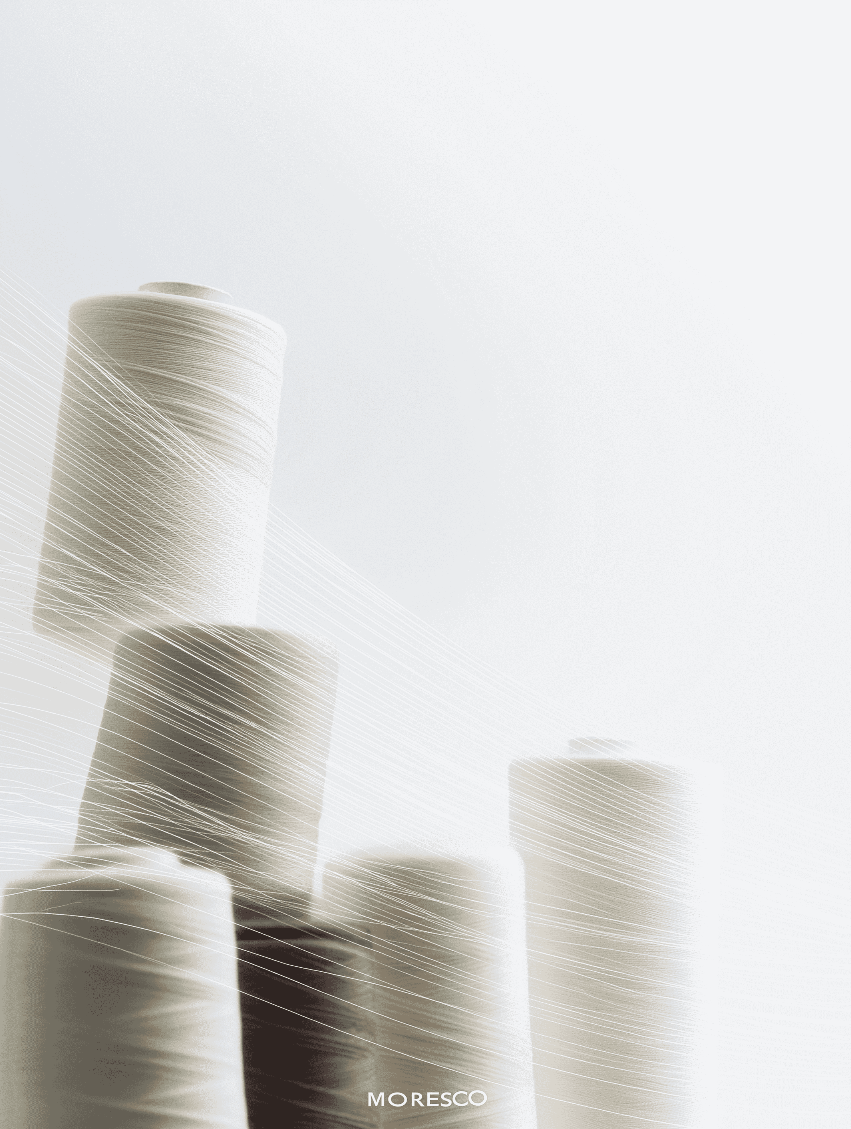 AYLA Gallery Image 5